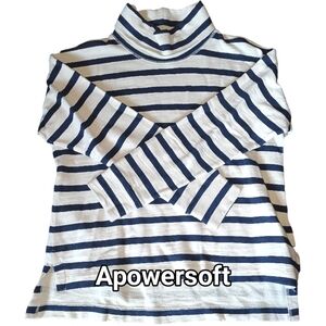 J Crew Striped Turtle Neck (0602)